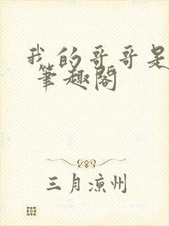 我的哥哥是高欢 笔趣阁