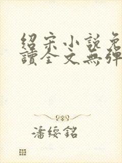 绍宋小说免费阅读全文无弹窗