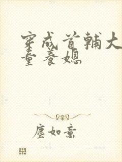 穿成首辅大人的童养媳