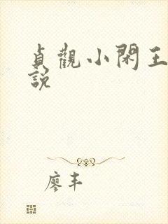 贞观小闲王 小说