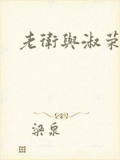 老卫与淑荣封面