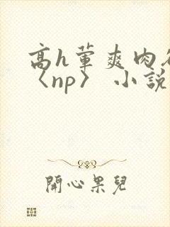 高h荤爽肉欲文〈np〉 小说