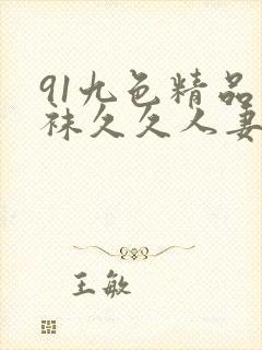 91九色精品丝袜久久人妻