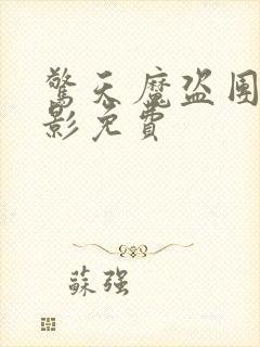 惊天魔盗团2电影免费封面