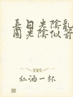 长日光阴乱作一团光阴似箭免费阅读封面