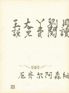 王大丫刘 刚小说免费阅读