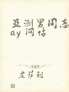 亚洲男同志 gay 网站