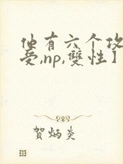 他有六个攻【总受,np,双性】封面