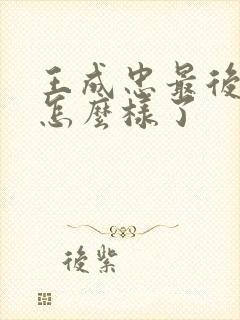 王成忠最后结局怎么样了