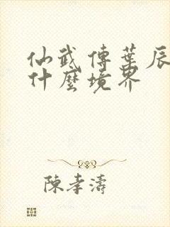 仙武传叶辰最后什么境界