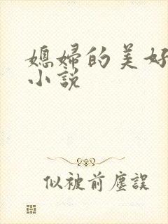 媳妇的美好时代小说