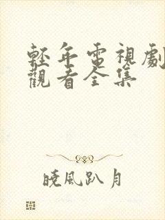 轻年电视剧免费观看全集