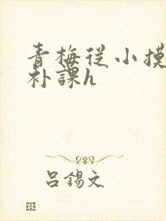 青梅从小摸到大补课h