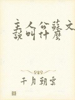 主人公苏文的小说叫什么