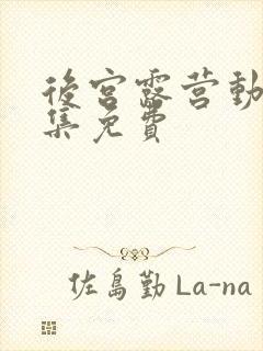 后宫露营动漫全集免费