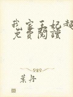 我家王妃超凶的免费阅读