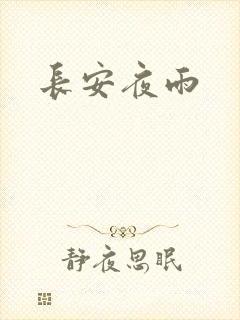 长安夜雨