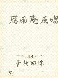 雁南飞原唱封面