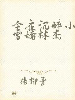 今夜沉醉小说段雪娇林杰