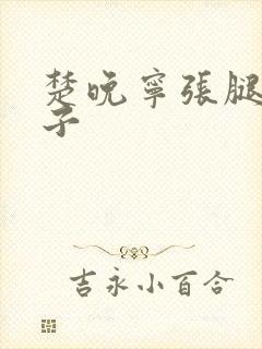 楚晚宁张腿放棋子封面