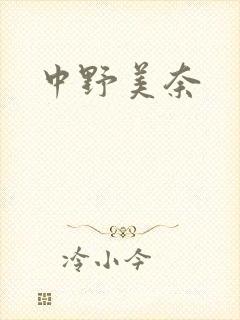 中野美奈封面