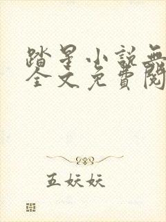 踏星小说无弹窗全文免费阅读