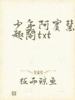 少年阿宾慧钰笔趣阁txt