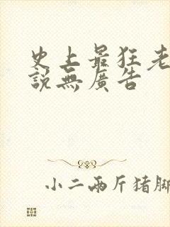 史上最狂老祖小说无广告