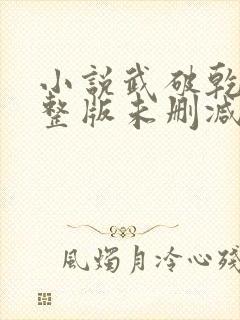 小说武破乾坤完整版未删减小说