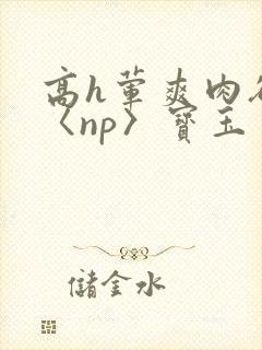 高h荤爽肉欲文〈np〉宝玉