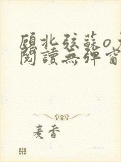 顾北弦苏o免费阅读无弹窗笔趣阁封面