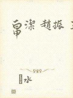 白洁 赵振 王申