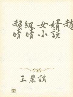 超级女婿赵旭李晴晴小说