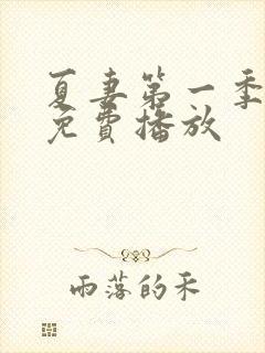 夏妻第一季全集免费播放