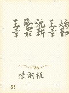 王飞沈玉娇22章最新章节免费阅读封面