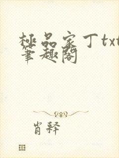 极品家丁txt笔趣阁