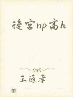 后宫np高h