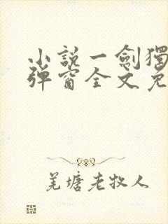 小说一剑独尊无弹窗全文免费阅读封面
