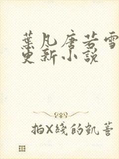 叶凡唐若雪最新更新小说