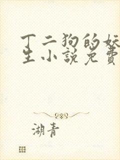 丁二狗的妖孽人生小说免费阅读全文