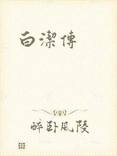 白洁传