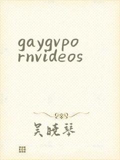 gaygvpornvideos封面