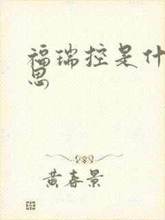 福瑞控是什么意思