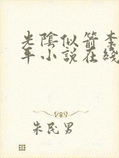 光阴似箭李艳傅平小说在线阅读