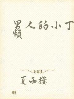 男人的小丁丁视频