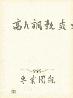高h调教爽文