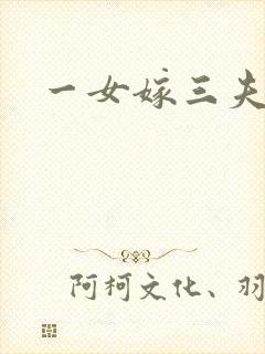 一女嫁三夫封面