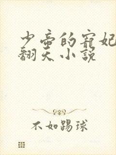 少帝的宠妃弃奴翻天小说