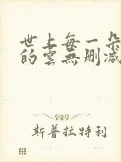 世上每一朵哀伤的云无删减全部章节封面