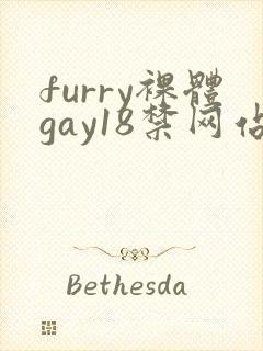 furry裸体gay18禁网站